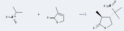 2(5H)-Furanone,3-methyl- can react with 2-nitro-propane to produce trans-3-methyldihydro-4-[2-(2-nitropropyl)]-2(3H)-furanone